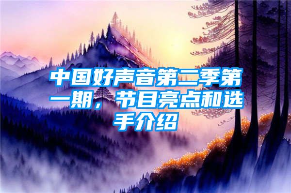中国好声音第二季第一期，节目亮点和选手介绍