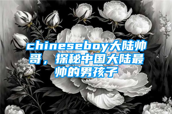 chineseboy大陆帅哥，探秘中国大陆最帅的男孩子