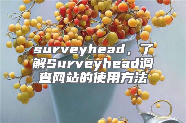 surveyhead，了解Surveyhead调查网站的使用方法