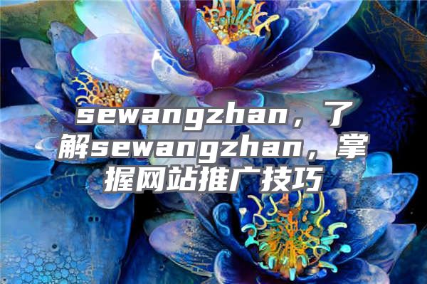 sewangzhan，了解sewangzhan，掌握网站推广技巧