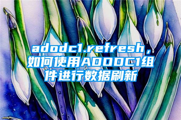 adodc1.refresh，如何使用ADODC1组件进行数据刷新