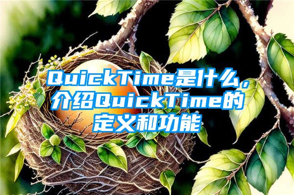 QuickTime是什么，介绍QuickTime的定义和功能