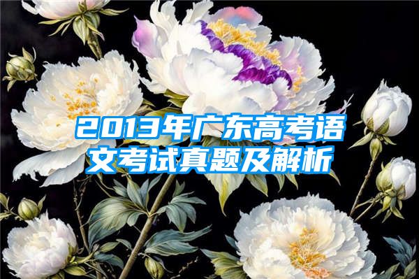2013年广东高考语文考试真题及解析