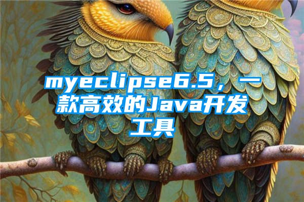 myeclipse6.5，一款高效的Java开发工具