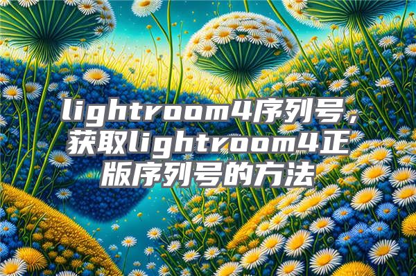 lightroom4序列号，获取lightroom4正版序列号的方法